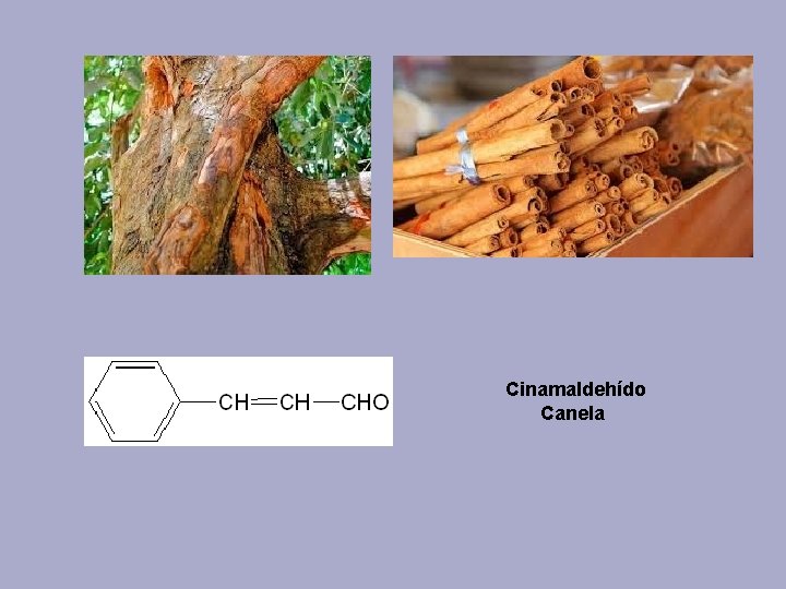 Cinamaldehído Canela 