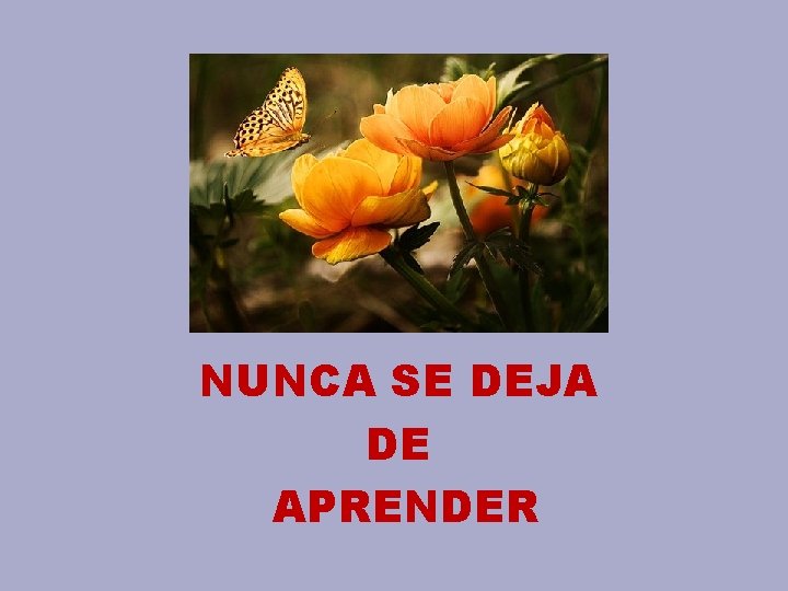 NUNCA SE DEJA DE APRENDER 
