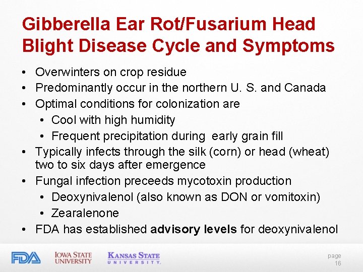 Gibberella Ear Rot/Fusarium Head Blight Disease Cycle and Symptoms • Overwinters on crop residue Gibberella Ear Rot/Fusarium Head Blight Disease Cycle and Symptoms • Overwinters on crop residue