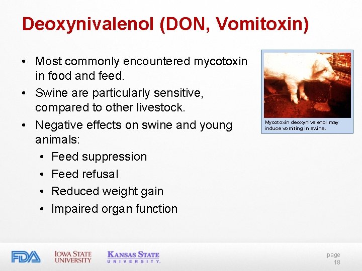 Deoxynivalenol (DON, Vomitoxin) • Most commonly encountered mycotoxin in food and feed. • Swine Deoxynivalenol (DON, Vomitoxin) • Most commonly encountered mycotoxin in food and feed. • Swine