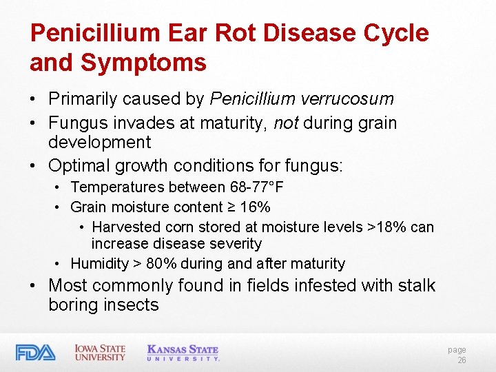 Penicillium Ear Rot Disease Cycle and Symptoms • Primarily caused by Penicillium verrucosum • Penicillium Ear Rot Disease Cycle and Symptoms • Primarily caused by Penicillium verrucosum •