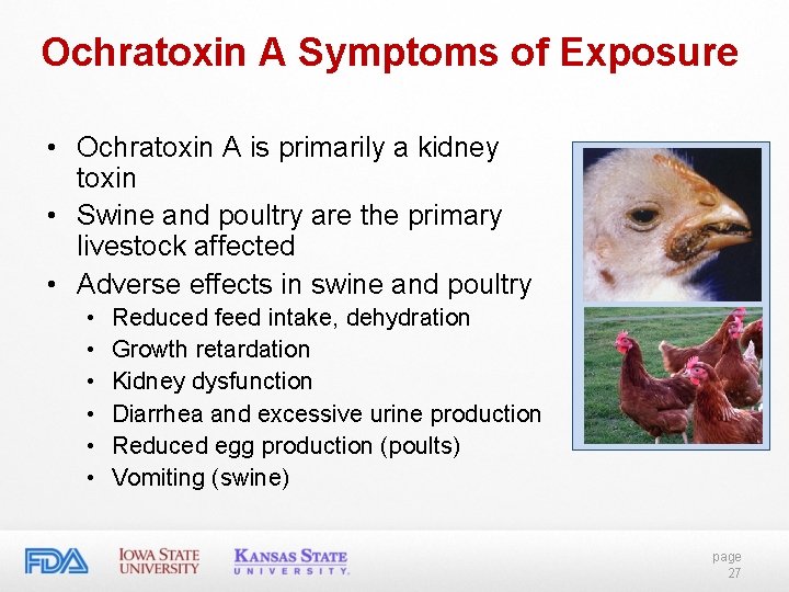 Ochratoxin A Symptoms of Exposure • Ochratoxin A is primarily a kidney toxin • Ochratoxin A Symptoms of Exposure • Ochratoxin A is primarily a kidney toxin •