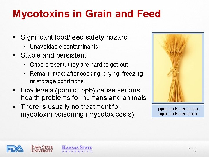 Mycotoxins in Grain and Feed • Significant food/feed safety hazard • Unavoidable contaminants • Mycotoxins in Grain and Feed • Significant food/feed safety hazard • Unavoidable contaminants •