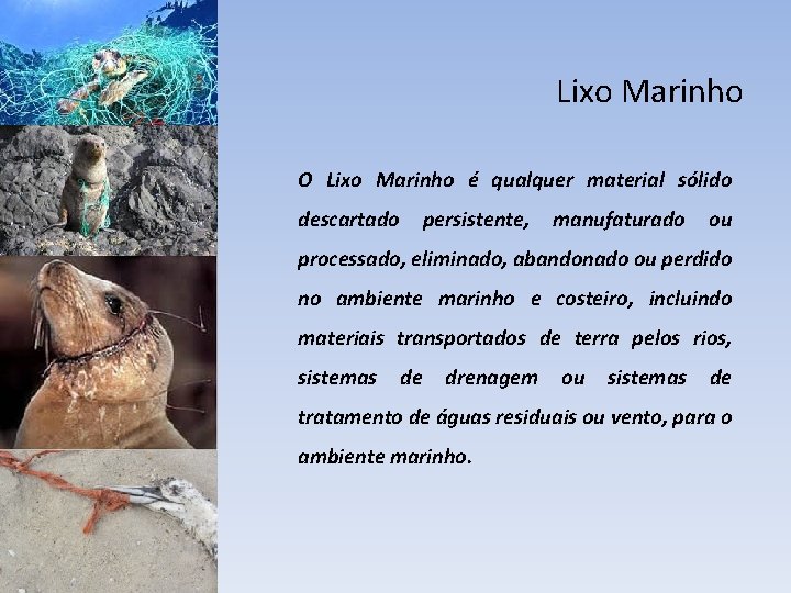 Lixo Marinho O Lixo Marinho é qualquer material sólido descartado persistente, manufaturado ou processado,