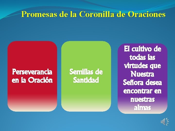 Promesas de la Coronilla de Oraciones Perseverancia en la Oración Semillas de Santidad El
