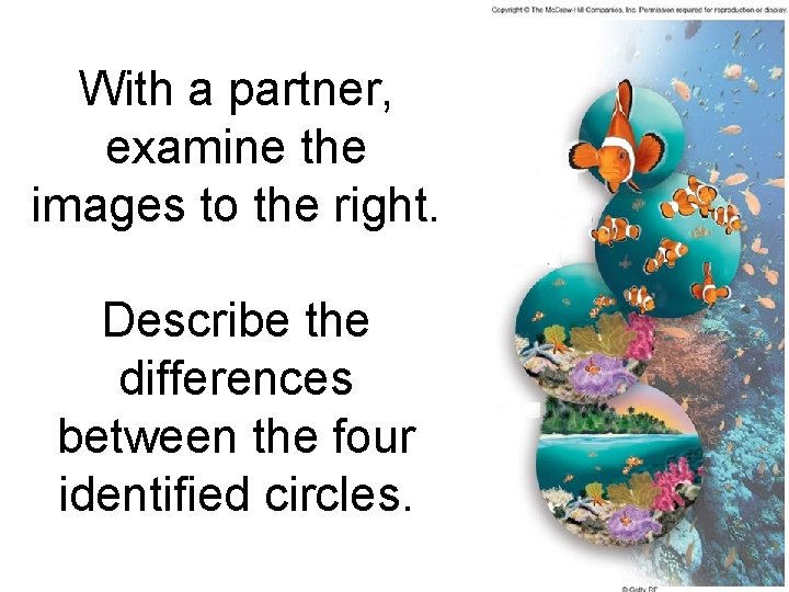 With a partner, examine the images to the right. Describe the differences between the