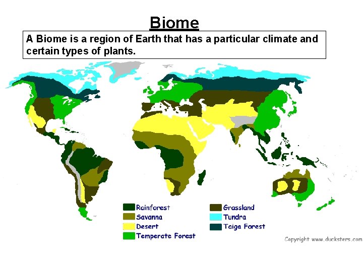 Biome A Biome is a region of Earth that has a particular climate and