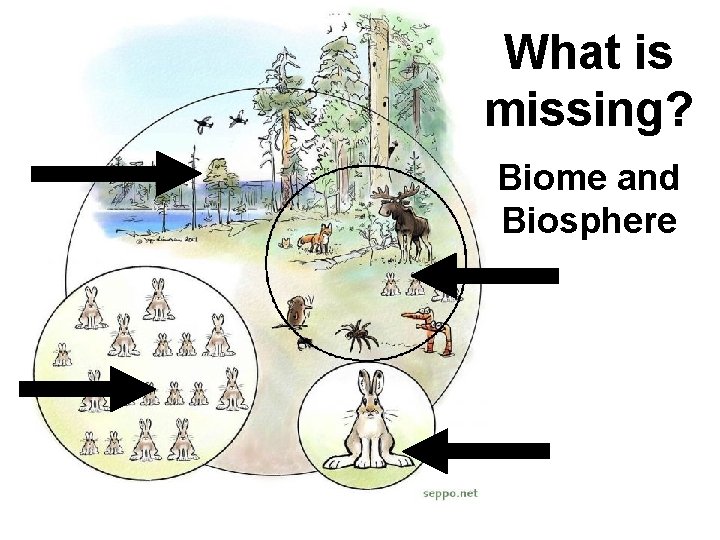 What is missing? Biome and Biosphere 