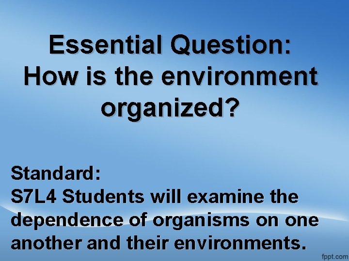 Essential Question: How is the environment organized? Standard: S 7 L 4 Students will