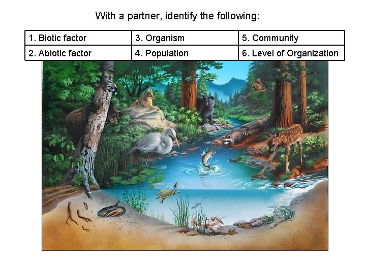 With a partner, identify the following: 1. Biotic factor 3. Organism 5. Community 2.