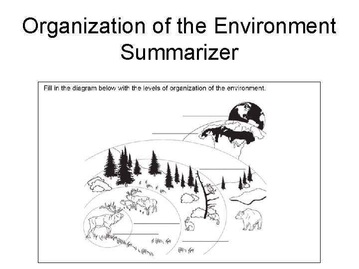 Organization of the Environment Summarizer 