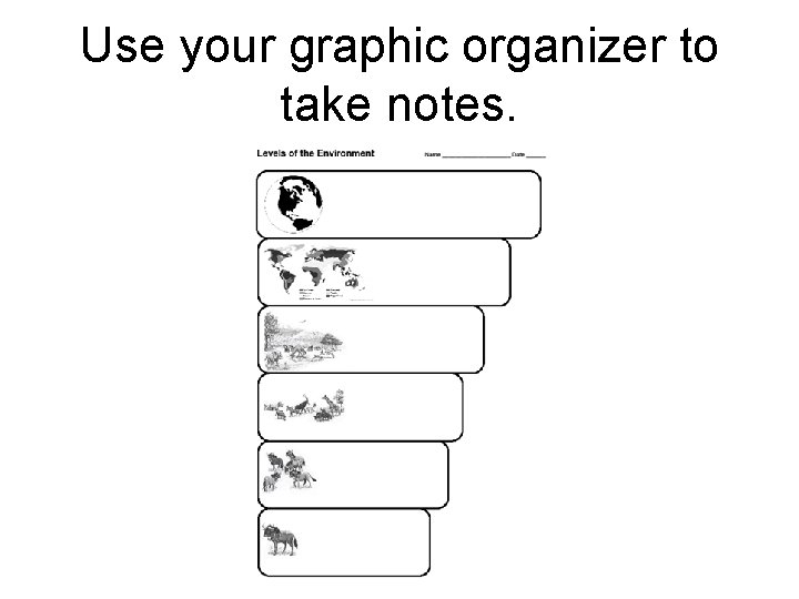 Use your graphic organizer to take notes. 