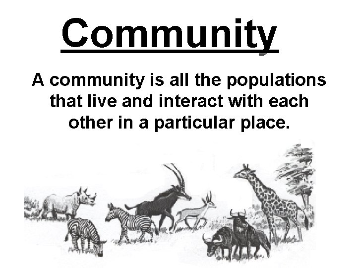 Community A community is all the populations that live and interact with each other