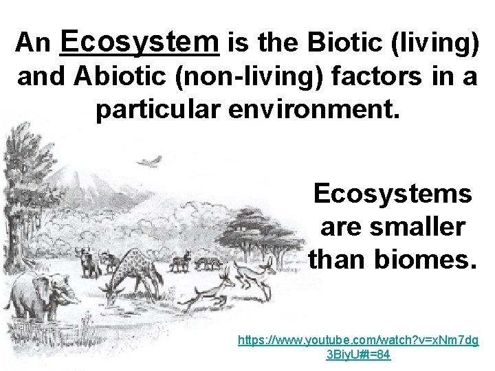An Ecosystem is the Biotic (living) and Abiotic (non-living) factors in a particular environment.