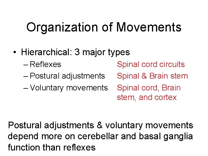 Organization of Movements • Hierarchical: 3 major types – Reflexes – Postural adjustments –