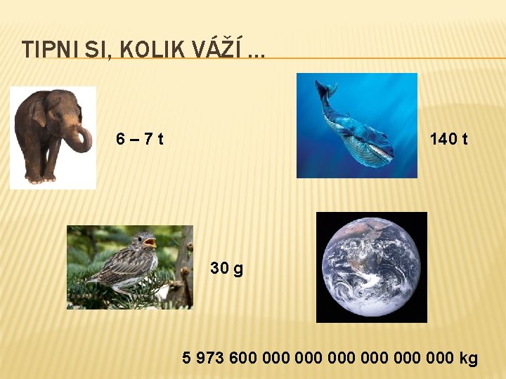 TIPNI SI, KOLIK VÁŽÍ … 6– 7 t 140 t 30 g 5 973 TIPNI SI, KOLIK VÁŽÍ … 6– 7 t 140 t 30 g 5 973