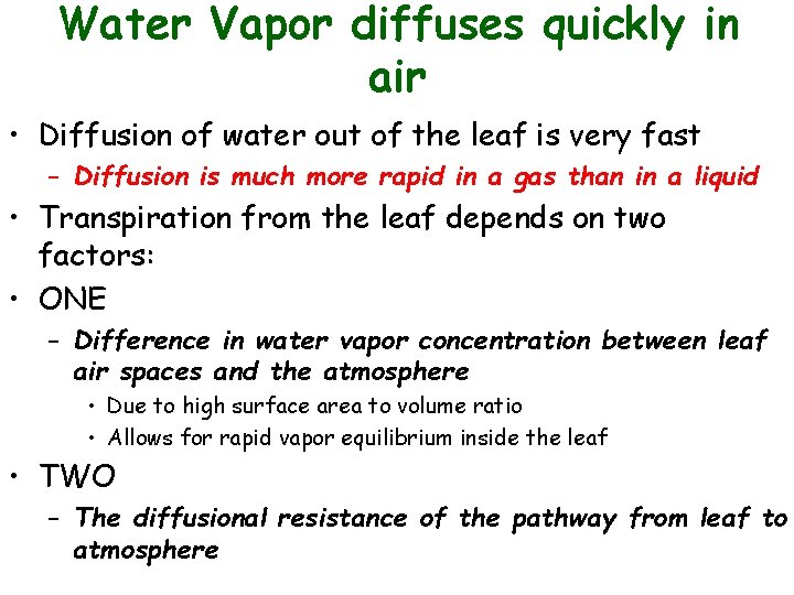Water Vapor diffuses quickly in air • Diffusion of water out of the leaf