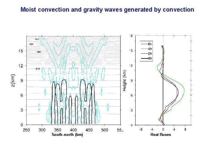 Contributions of moist convection and internal gravity waves