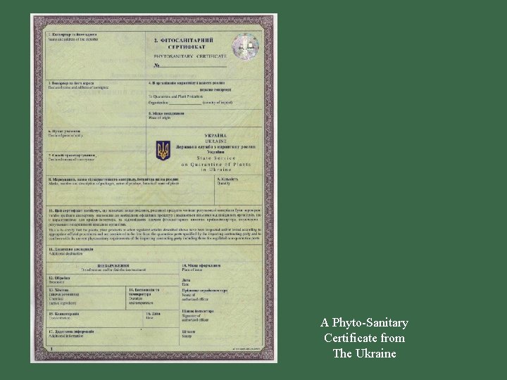 A Phyto-Sanitary Certificate from The Ukraine 