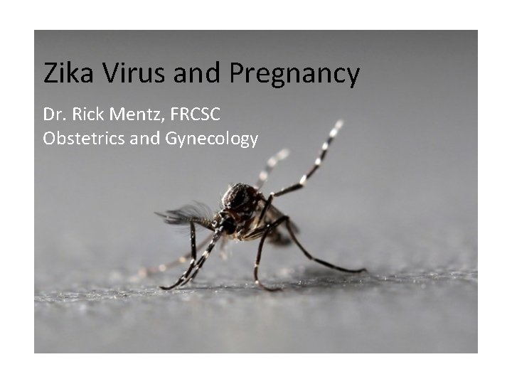 Zika Virus and Pregnancy Dr. Rick Mentz, FRCSC Obstetrics and Gynecology 