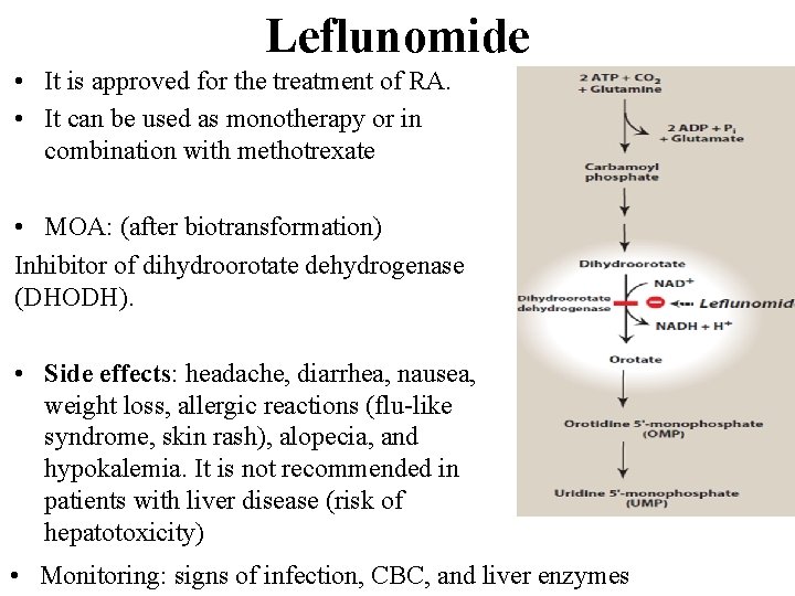 Leflunomide • It is approved for the treatment of RA. • It can be