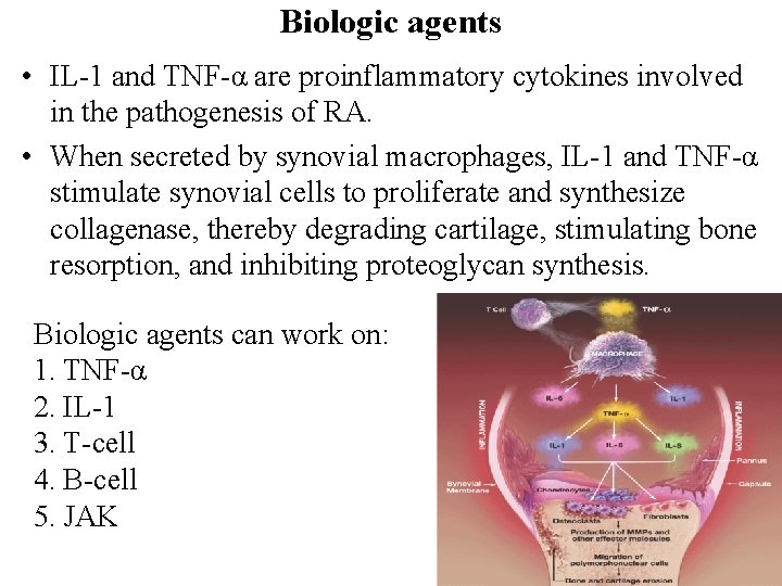 Biologic agents • IL-1 and TNF-α are proinflammatory cytokines involved in the pathogenesis of