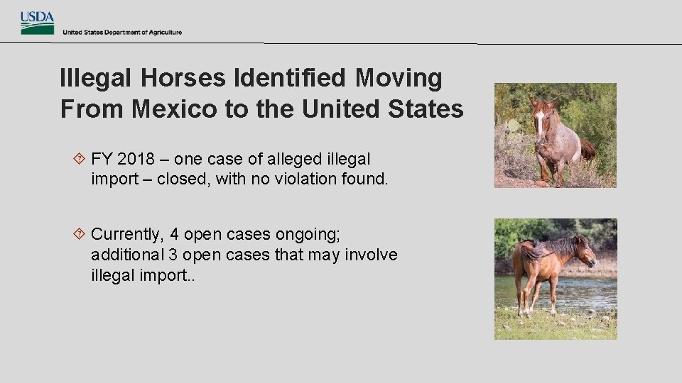 Illegal Horses Identified Moving From Mexico to the United States FY 2018 – one