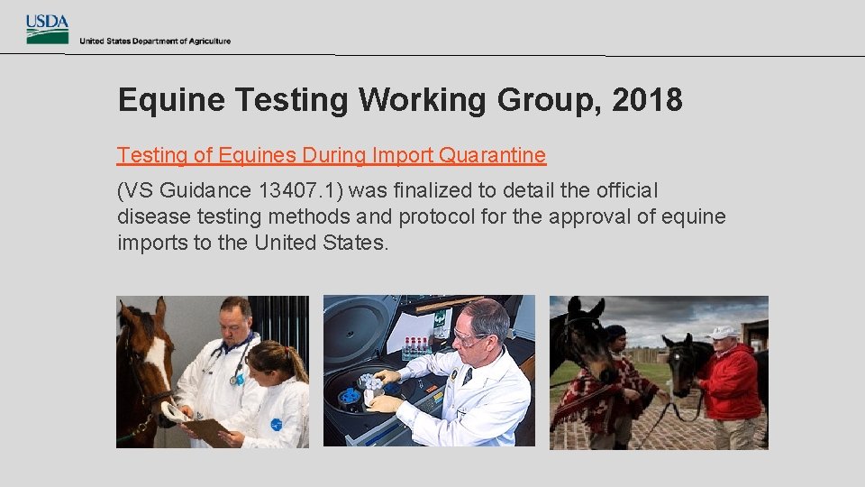 Equine Testing Working Group, 2018 Testing of Equines During Import Quarantine (VS Guidance 13407.