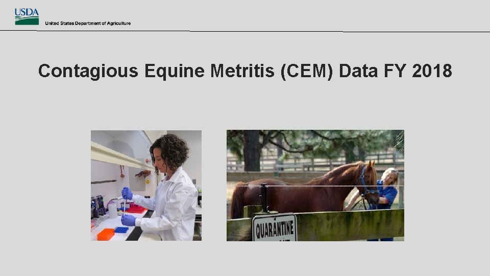 Contagious Equine Metritis (CEM) Data FY 2018 