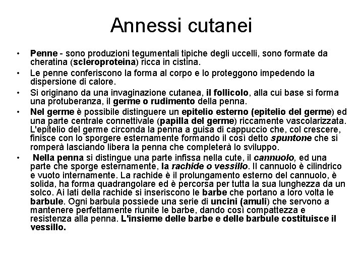 Annessi cutanei • • • Penne - sono produzioni tegumentali tipiche degli uccelli, sono