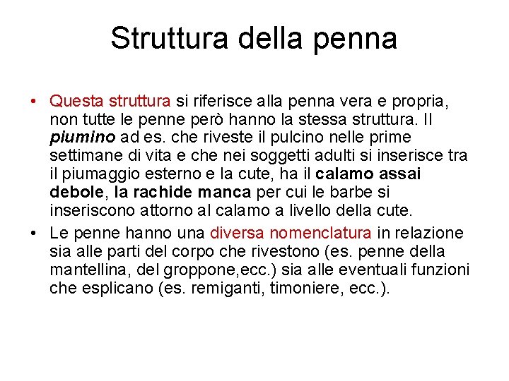 Struttura della penna • Questa struttura si riferisce alla penna vera e propria, non