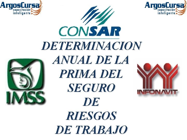 DETERMINACION ANUAL DE LA PRIMA DEL SEGURO DE RIESGOS DE TRABAJO DETERMINACION ANUAL DE LA PRIMA DEL SEGURO DE RIESGOS DE TRABAJO