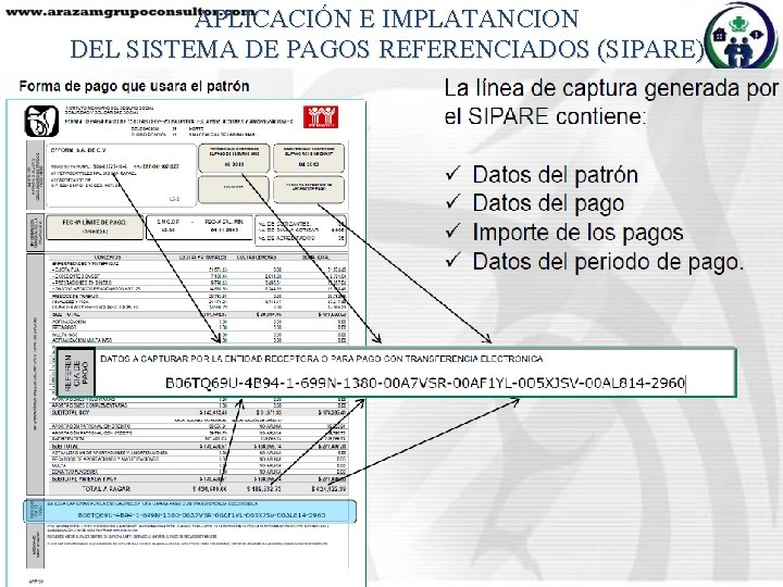 APLICACIÓN E IMPLATANCION DEL SISTEMA DE PAGOS REFERENCIADOS (SIPARE) 