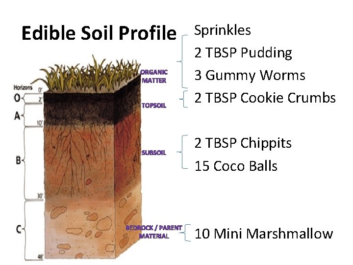 Edible Soil Profile Sprinkles 2 TBSP Pudding 3 Gummy Worms 2 TBSP Cookie Crumbs