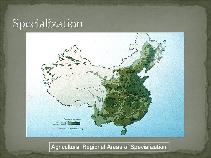 Specialization Agricultural Regional Areas of Specialization 