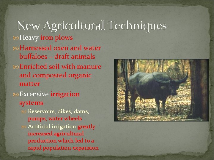 New Agricultural Techniques Heavy iron plows Harnessed oxen and water buffaloes – draft animals