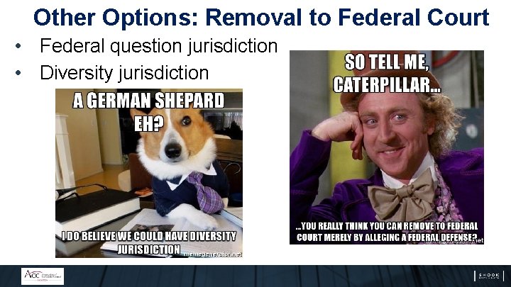 Other Options: Removal to Federal Court • Federal question jurisdiction • Diversity jurisdiction 