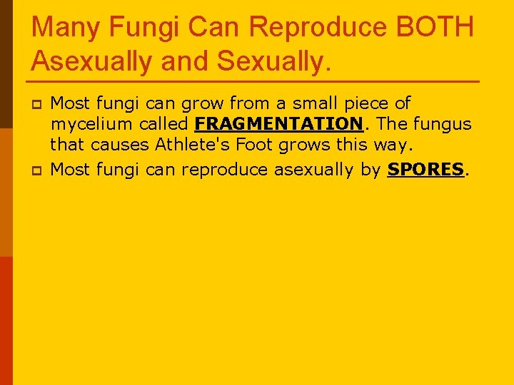 Many Fungi Can Reproduce BOTH Asexually and Sexually. p p Most fungi can grow Many Fungi Can Reproduce BOTH Asexually and Sexually. p p Most fungi can grow