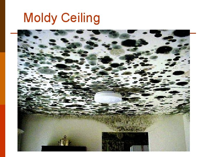 Moldy Ceiling Moldy Ceiling