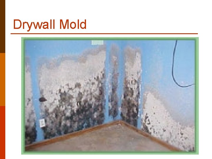 Drywall Mold Drywall Mold