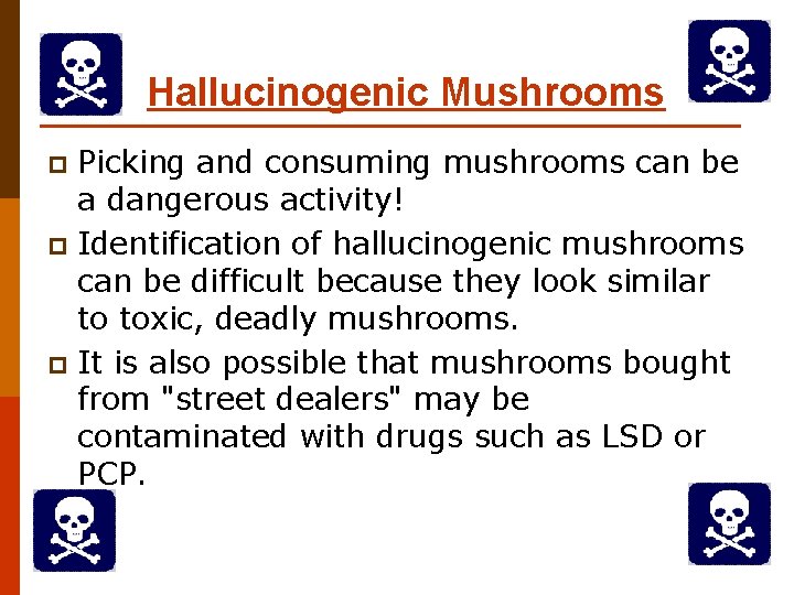 Hallucinogenic Mushrooms Picking and consuming mushrooms can be a dangerous activity! p Identification of Hallucinogenic Mushrooms Picking and consuming mushrooms can be a dangerous activity! p Identification of