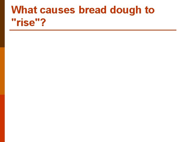 What causes bread dough to "rise"? What causes bread dough to "rise"?