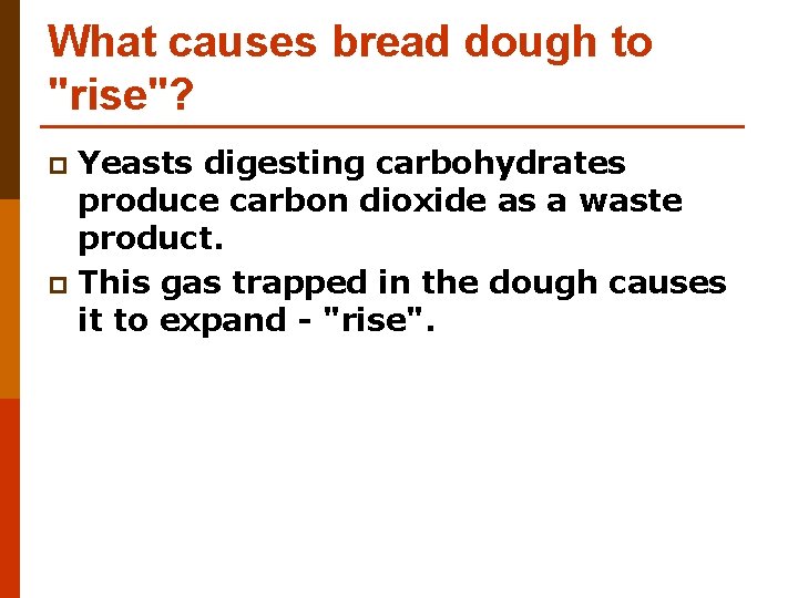What causes bread dough to "rise"? Yeasts digesting carbohydrates produce carbon dioxide as a What causes bread dough to "rise"? Yeasts digesting carbohydrates produce carbon dioxide as a