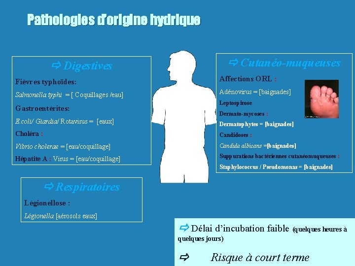 Pathologies d’origine hydrique Cutanéo-muqueuses Digestives Fièvres typhoïdes: Affections ORL : Salmonella typhi = [