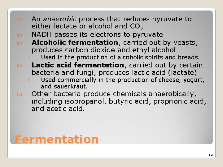  ◦ ◦ An anaerobic process that reduces pyruvate to either lactate or alcohol