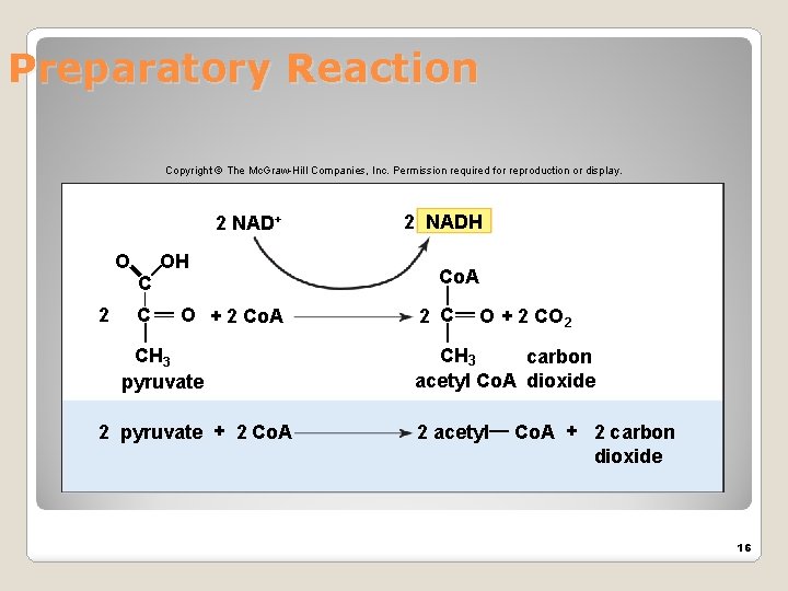 Preparatory Reaction Copyright © The Mc. Graw-Hill Companies, Inc. Permission required for reproduction or