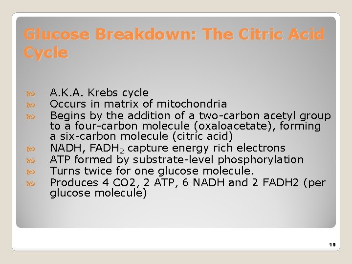 Glucose Breakdown: The Citric Acid Cycle A. Krebs cycle Occurs in matrix of mitochondria