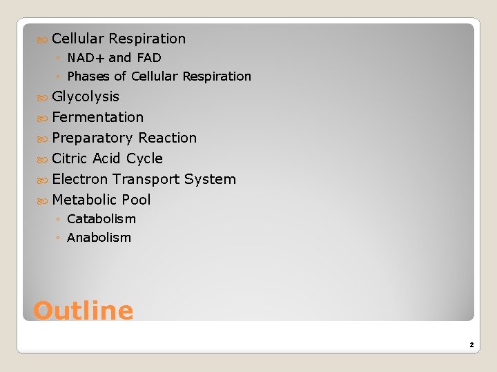  Cellular Respiration ◦ NAD+ and FAD ◦ Phases of Cellular Respiration Glycolysis Fermentation