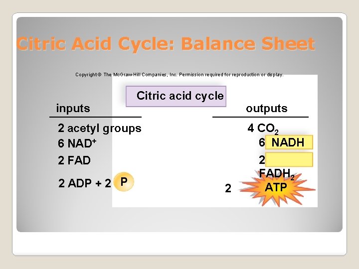 Citric Acid Cycle: Balance Sheet Copyright © The Mc. Graw-Hill Companies, Inc. Permission required