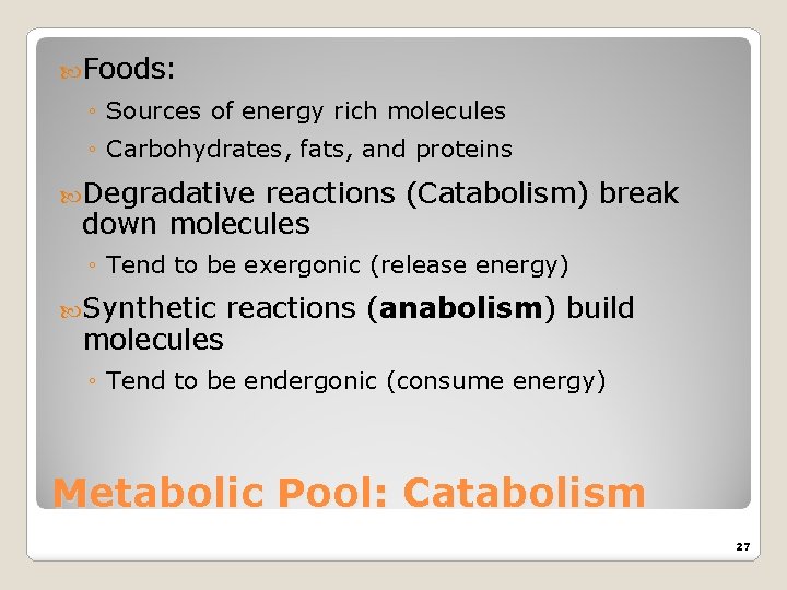  Foods: ◦ Sources of energy rich molecules ◦ Carbohydrates, fats, and proteins Degradative